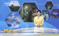 独家观察：文艺片如何展开“自救式”营销