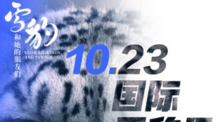 10.23國際雪豹日 《雪豹和她的朋友們》邀你守護
