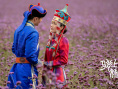 马背上的婚礼