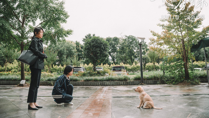 《再见，李可乐》曝特辑  宠物与闫妮谭松韵吴京共享喜怒哀乐