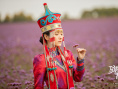 马背上的婚礼