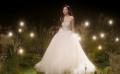 动画电影《星愿》发布同名中文主题曲MV 张靓颖倾情唱响