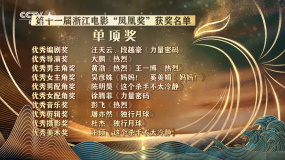 第十一屆“鳳凰獎”頒獎典禮舉辦  吳彥姝 奚美娟收獲優(yōu)秀女主角獎