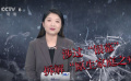 心理专家读解《涉过愤怒的海》：终其一生，能否走出原生家庭的伤害？