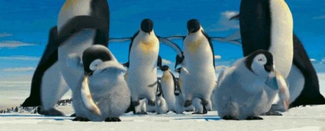 看帝企鹅成长！电影频道12.3播出《快乐的大脚》