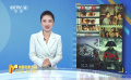 周末觀影調(diào)查：《熱搜》《再見，李可樂》《照明商店》《拿破侖》