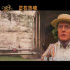《旺卡》曝新预告 休叔化身“小橘人”魔性唱跳