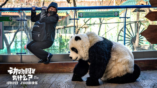 熊猫玩单杠猩猩炫酒 《动物园里有什么？》曝预告