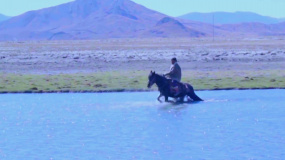 电影《回西藏》发布金巴骑马花絮，前一秒策马奔腾后一秒失足落水