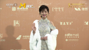 趙雅芝亮相第五屆海南島國際電影節(jié)閉幕式
