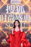 刘涛张若昀娜扎等亮相 群星齐聚时尚盛典总结2023