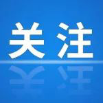 原騰訊視頻《你是我的榮耀》制片人張萌獲刑三年