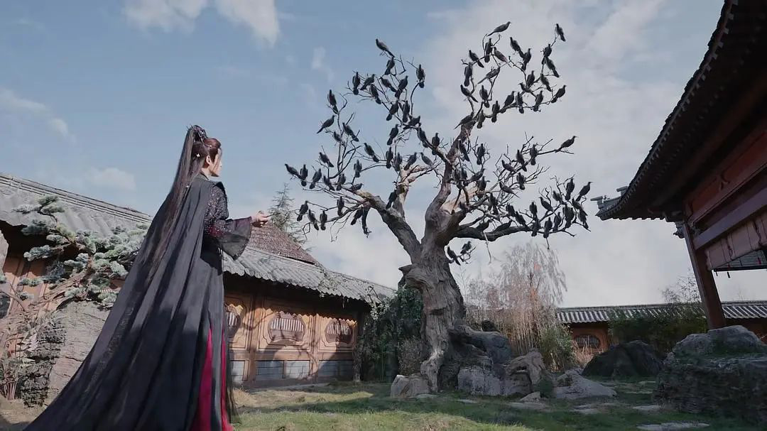 先婚后爱还能这么玩？