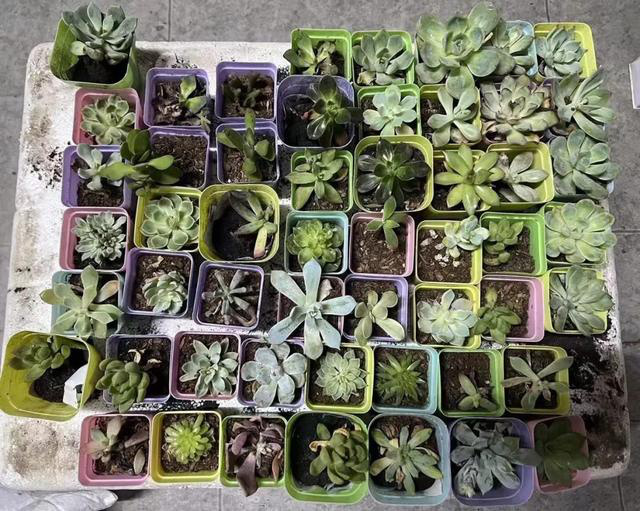 一间京城快递驿站的生意与江湖