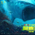 《巨齒鯊2》制片人：在國際市場，不知道吳京是不盡責(zé)的