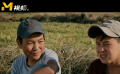 导演艾别克·戴伊贝尔科夫的《苦艾之味》讲述了三个小男孩快速成长的故事