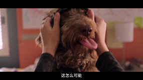 电影《家有儿女之神犬当家》定档1月20日 国民IP全新出发欢乐有爱