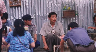 電影頻道1月4日播出葛優(yōu)主演電影《卡拉是條狗》