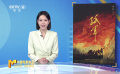 《孤军》导演杨虎：凌潇肃 小沈阳表演出彩