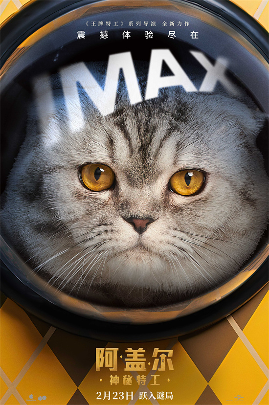 喵星人出击！《阿盖尔：神秘特工》曝IMAX海报