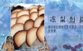 哈爾濱文旅火爆特點：新鮮詞匯不斷涌現