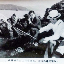 孤注一擲
