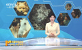 今日聚焦：可爱威猛呆萌……它们霸占银幕！2023动物表演大赏