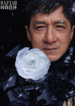 龍年還得看成龍！烈焰乘龍大片 點亮新歲美好開局