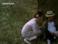 古龙镇谍影