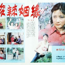 酸辣姻緣