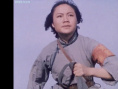 洪湖赤衛(wèi)隊(duì)