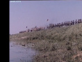 洪湖赤衛(wèi)隊(duì)
