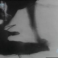 天伦