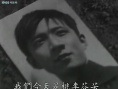 桃李劫