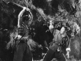 山间铃响马帮来