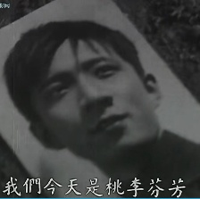桃李劫