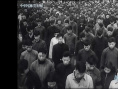 为了和平