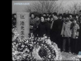 为了和平