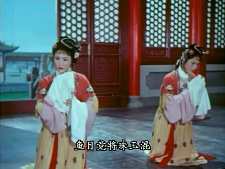 追鱼