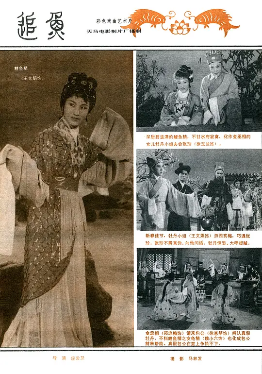 追魚