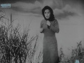遥远的爱