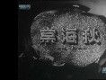 秋海棠