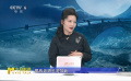 何赛飞对戏里戏外“追月”的理解