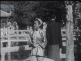 春