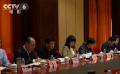 文藝界委員：賡續(xù)中華文脈 向世界傳播中國聲音