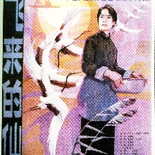 飛來的仙鶴