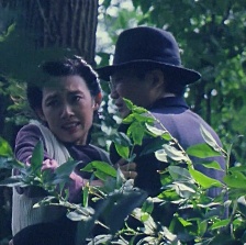 圣·保罗医院之谜