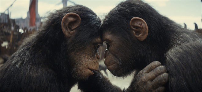 《猩球崛起：新世界》定档5.10 人猿冲突再升级！