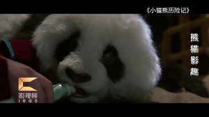 电影中的百变熊猫形象