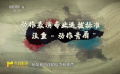 動作表演專業(yè)選拔標準：注重“動作素質”